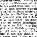1895-08-27 Kl Unfall Zeiss Chef